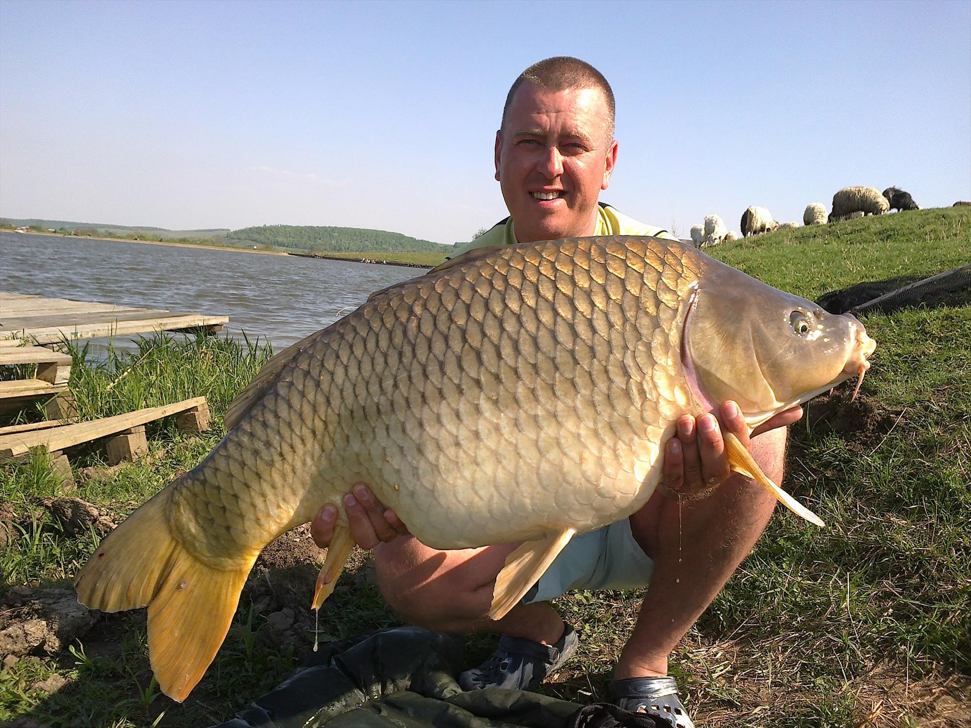 Bogdan Vintea - 29042012032.jpg